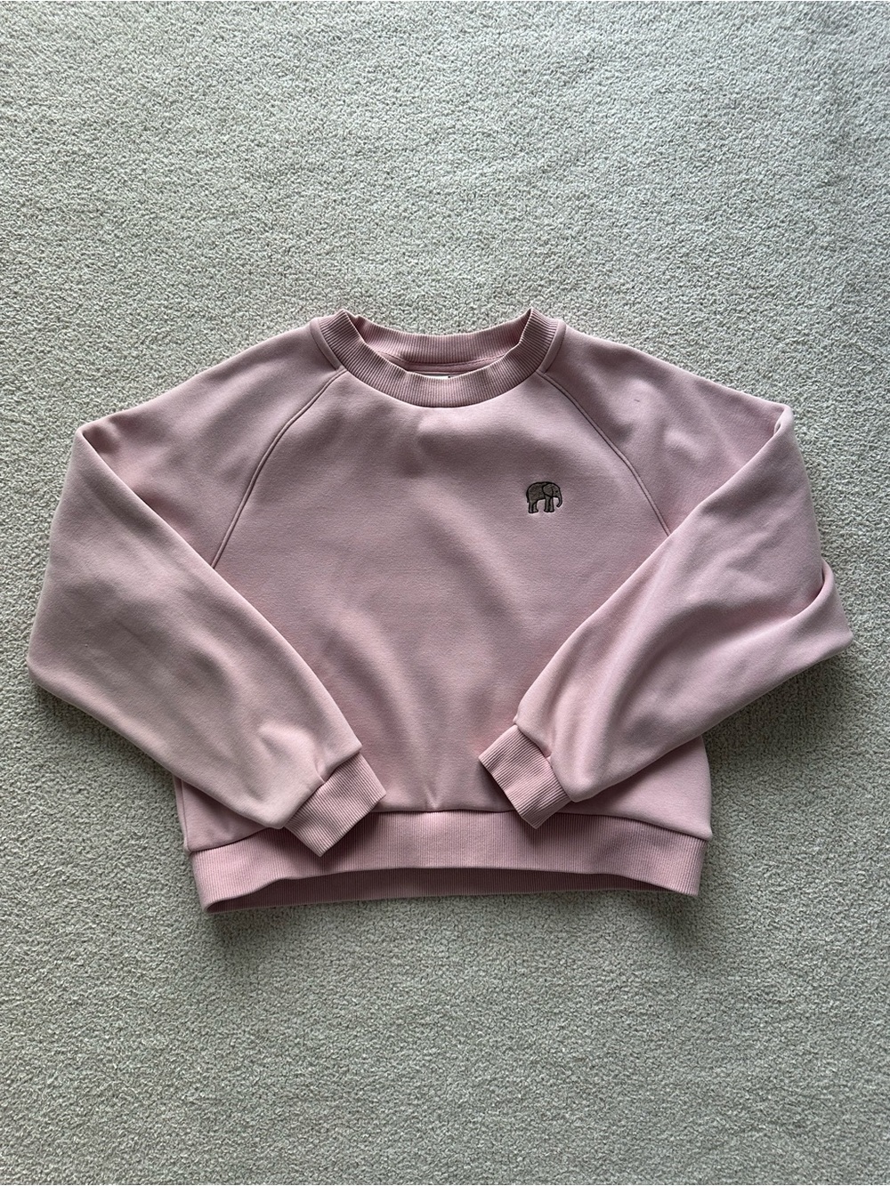 Aritzia Sunday Best Fleece Crew